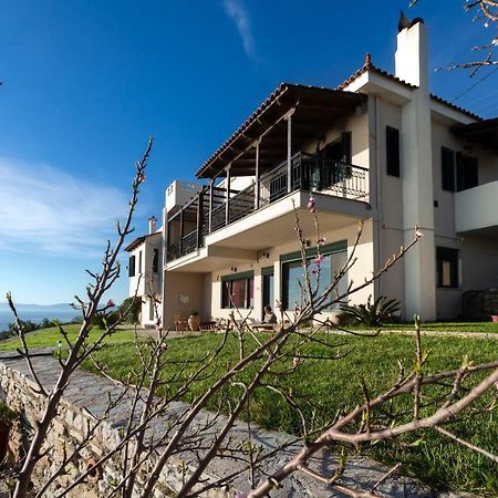 Aegean Panorama Apartments Akhladherí 외부 사진